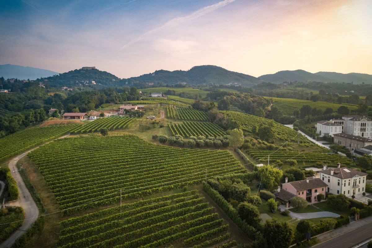 Cantina » Jashera - Vini Asolo Prosecco Superiore DOCG